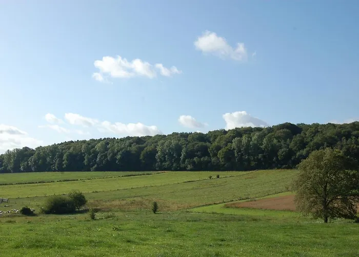 فندق مبيت وإفطار Chession 3*